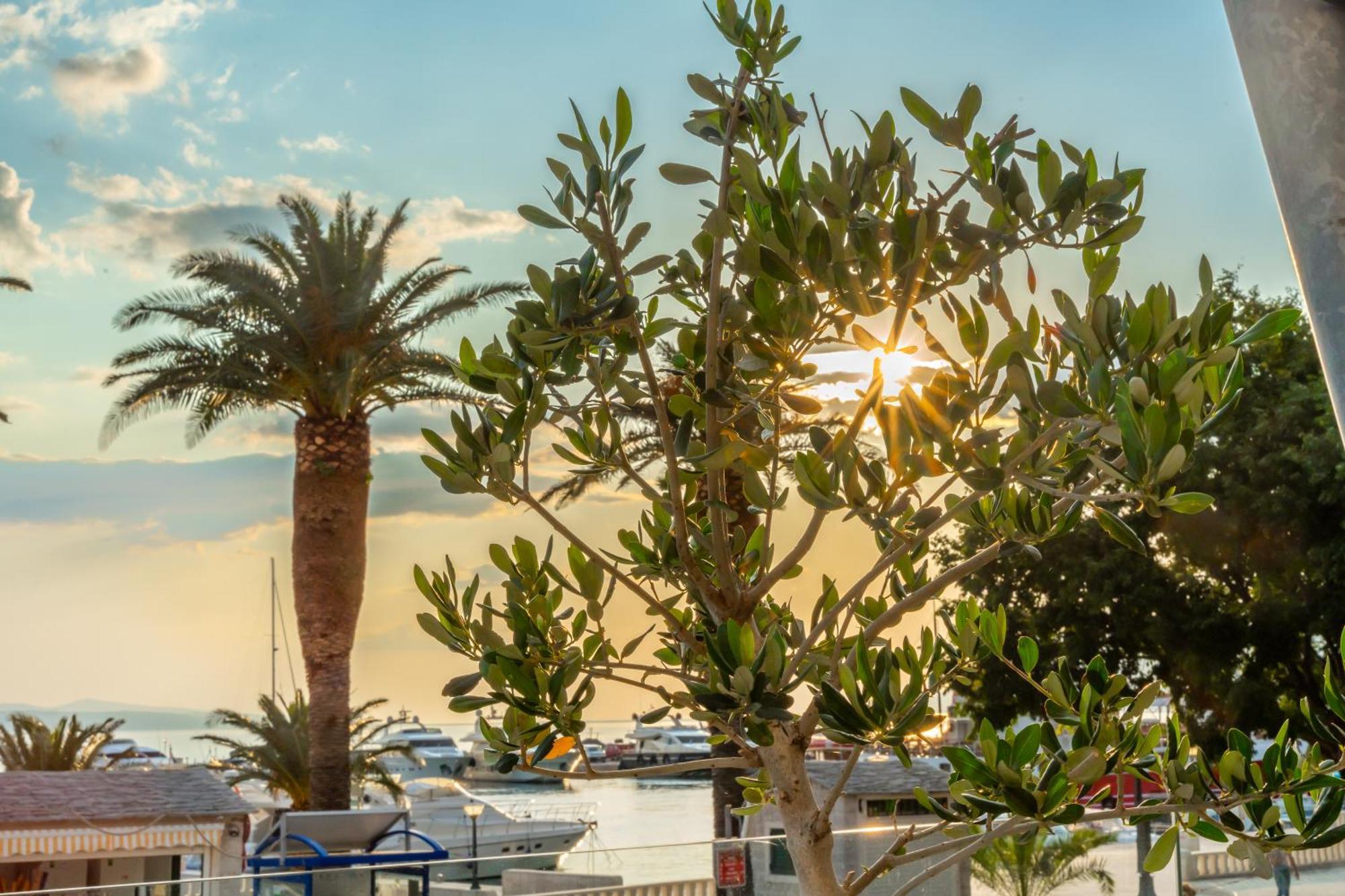 Grand Hotel Slavia - Adults Only Baška Voda المظهر الخارجي الصورة